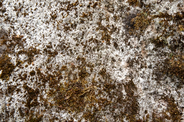 Fototapeta background