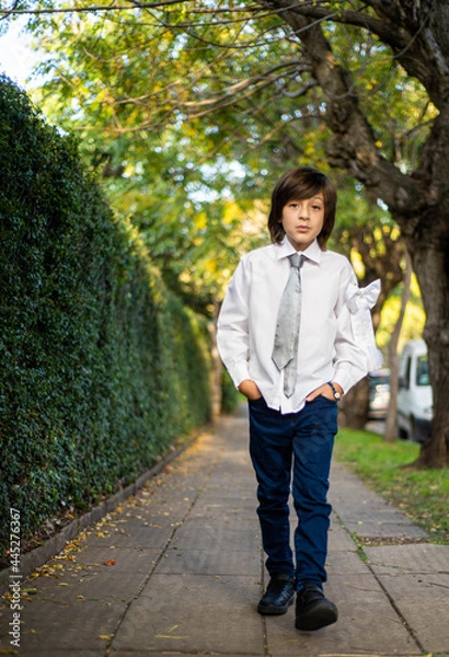 Obraz handsome boy walks along a sidewalk surrounded by trees