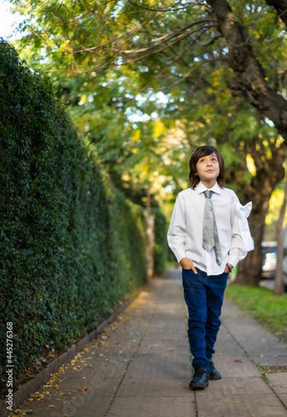 Obraz handsome boy walks along a sidewalk surrounded by trees