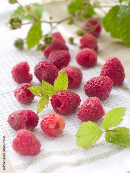 Fototapeta fresh raspberry