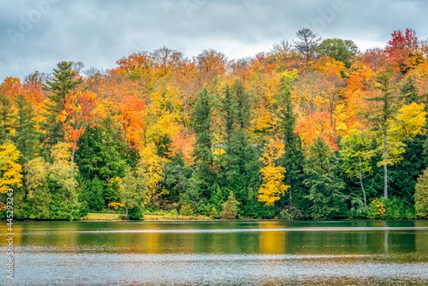 Fototapeta Beautiful brightly colored autumn leaves reflecting on calm lake shore under a fall sky.