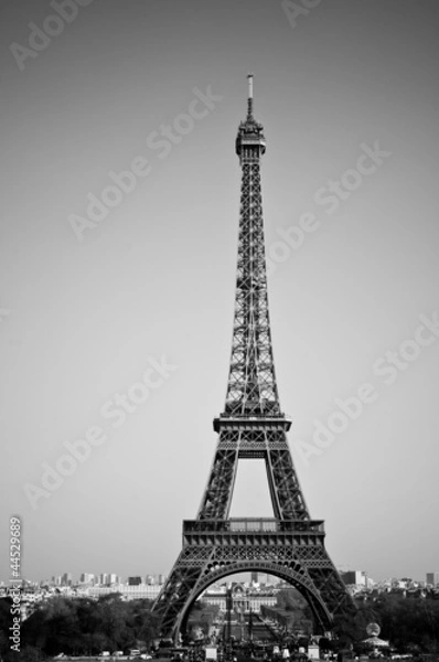 Fototapeta eiffel tower in black and white