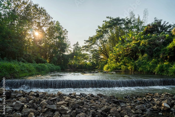 Fototapeta lake in the park