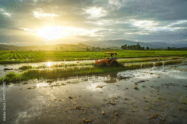 Fototapeta boat on the lake