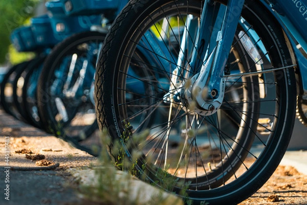Obraz Rental bikes lined up