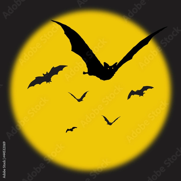 Obraz Halloween bats