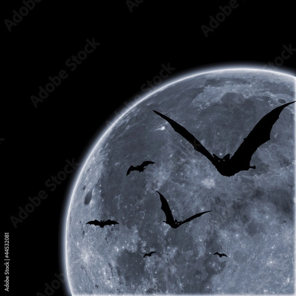 Obraz Bats against the moon