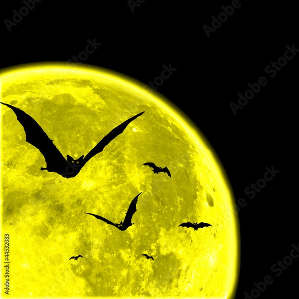 Obraz Bats against the moon