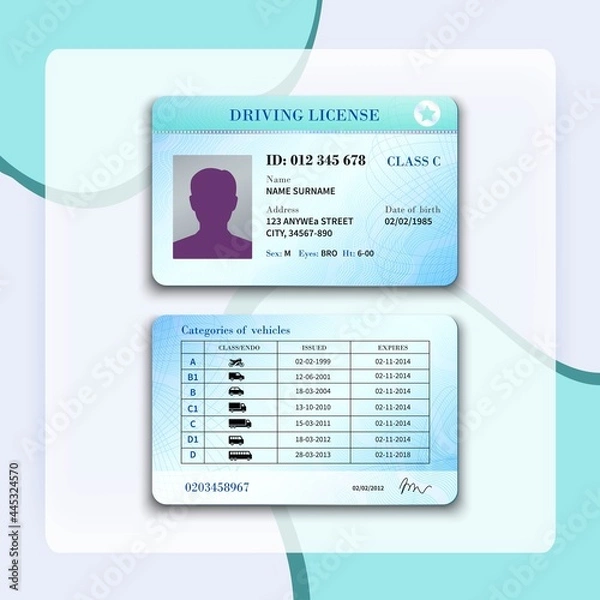 Fototapeta Realistic international plastic driver licence back and front template isolated vector illustration