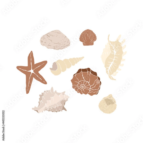 Fototapeta Set of sealshells. Abstrct clam, oyster, shellfish, scallop. Abstract feminine vector illustrations. Summer girly trendy simple icons. For instagram post, business advertisement, flyer design.