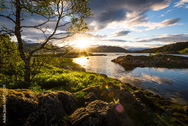 Fototapeta Scenic view of fjord landscape in northern norway with warm midnight sun in late spring with green grass, trees and nature