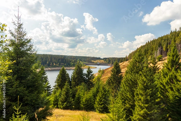 Obraz Eckertalsperre im Harz
