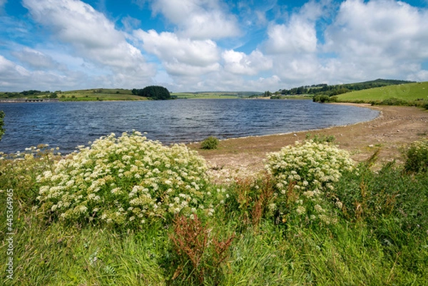 Obraz siblyback lake bodmin moor cornwall
