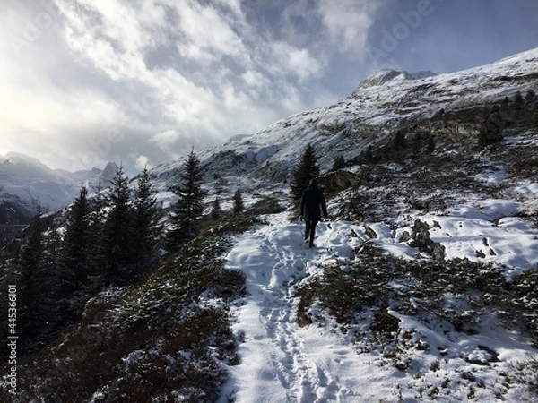 Obraz snow covered mountains