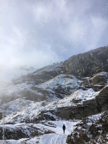 Obraz landscape with snow