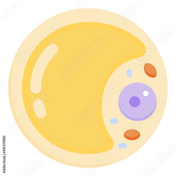 Obraz adipocyte flat icon