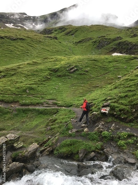 Obraz hiking in the mountains
