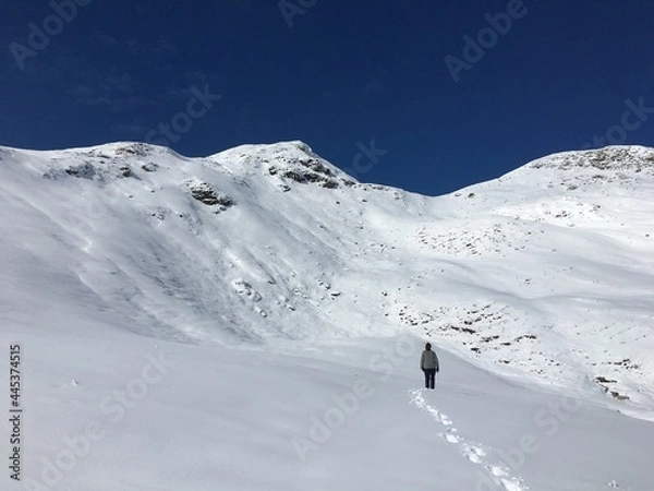 Obraz skiing in the mountains