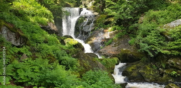 Obraz waterfall in the forest