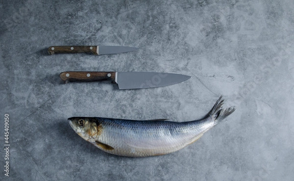 Obraz Fish Herring and knifes on grey background