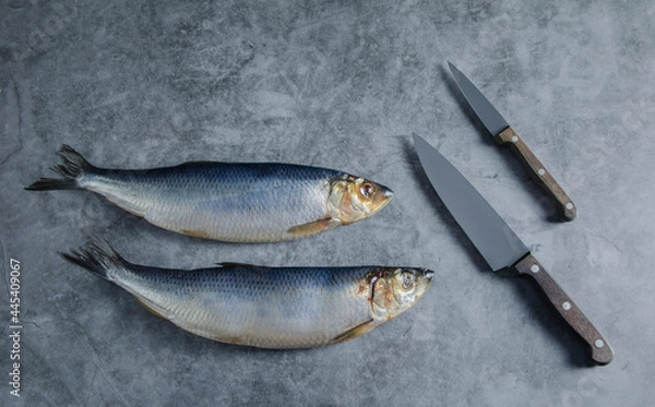 Obraz Fish Herring and knifes on grey background
