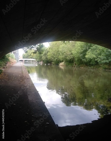Obraz river in the park