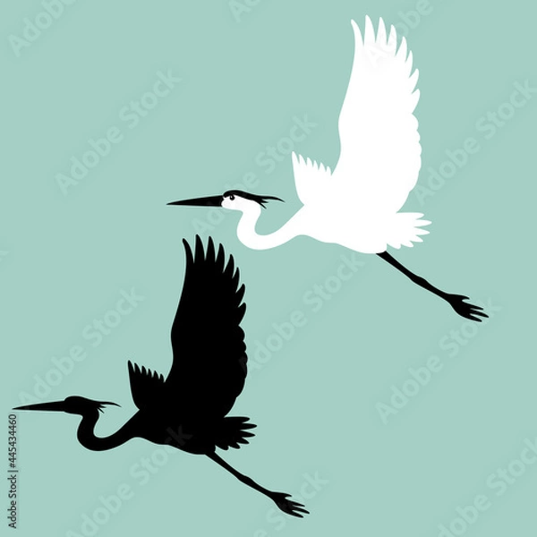 Obraz heron vector illustration, flat style, black silhouette
