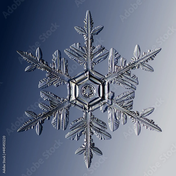 Obraz Real snowflake on blue background