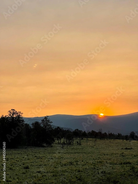 Obraz sunset over the field