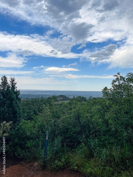 Obraz landscape with trees