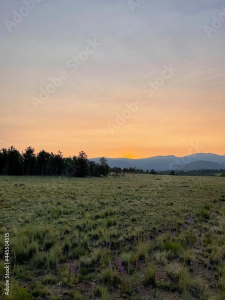 Obraz sunset over the river