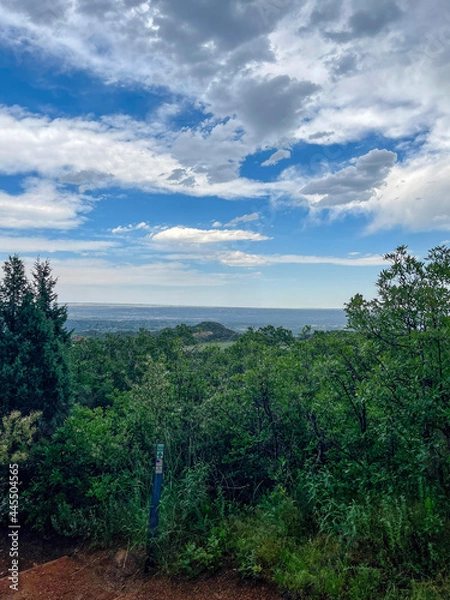 Obraz landscape with trees