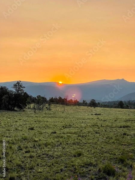 Obraz sunset over the field