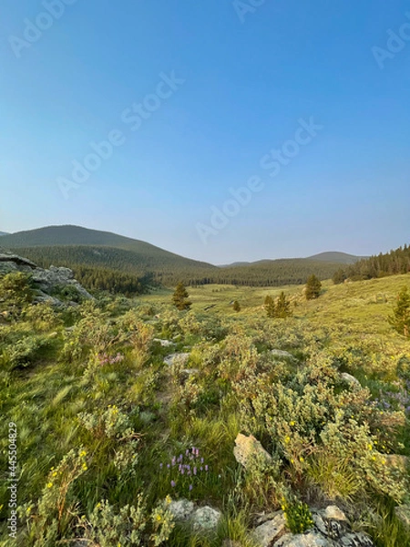 Obraz landscape with sky