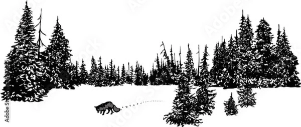 Obraz Fox mouse in the winter forest