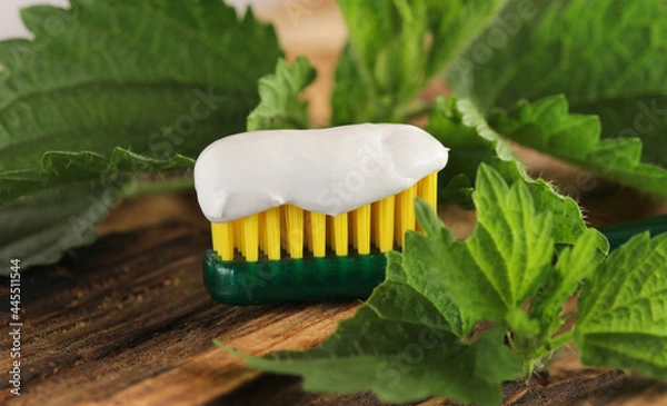 Obraz Alternative natural toothpaste based on nettle.