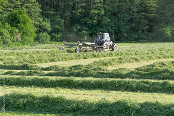Obraz large tractor rakes hay