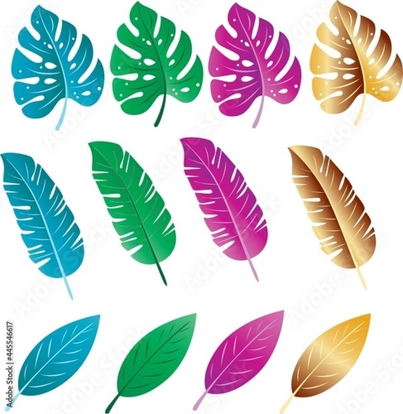 Obraz Leaf vector design with various color options