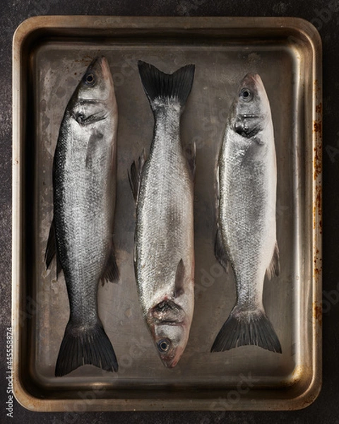 Obraz Three whole seabass in rectangular metal tray graphic isolated