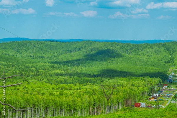 Obraz landscape with forest and sky