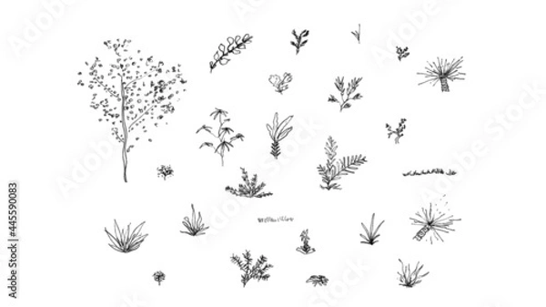Obraz Vegetation Handsketch Architectural Elevation