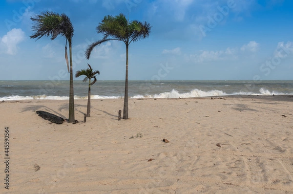 Obraz Sea beach and blue sky.