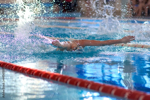 Fototapeta a swimmer waves his arms while performing a butterfly at a training session in the pool, blurred focus