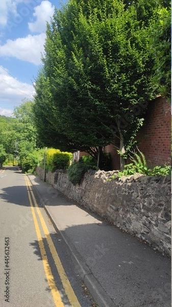 Obraz the road down the hill