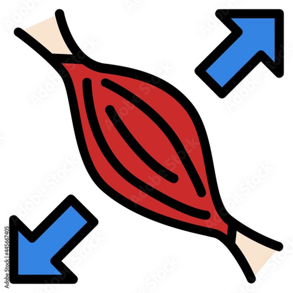 Obraz muscle line icon