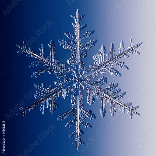 Fototapeta Real snowflake on blue background