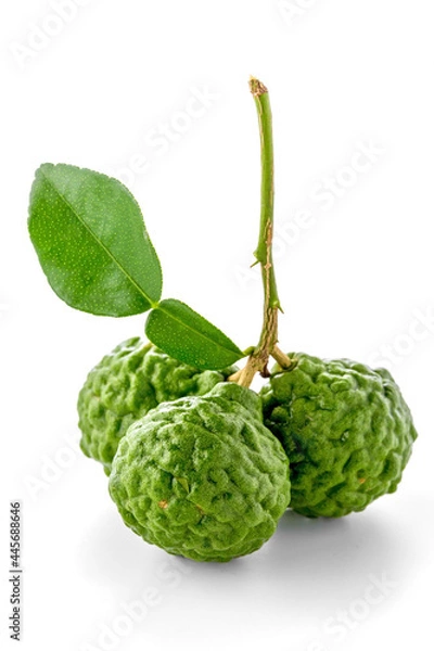 Fototapeta Bergamot  white background