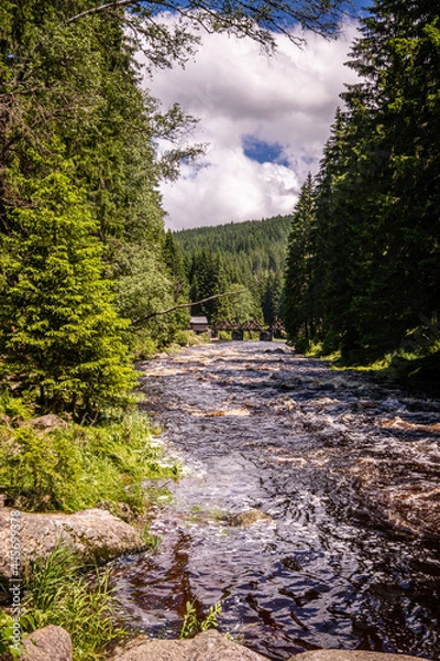 Fototapeta Modrava is a village in the Sumava National Park, in the district of Klatovy, 13 km southwest of Kasperske Hory.The settlement of the village of Modrava consists of two parts: Modrava and Filipova Hut