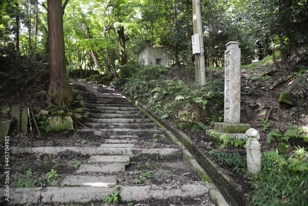 Fototapeta 法明院　参道　滋賀県大津市