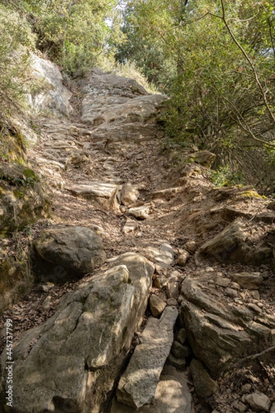 Fototapeta Cauce de rio seco